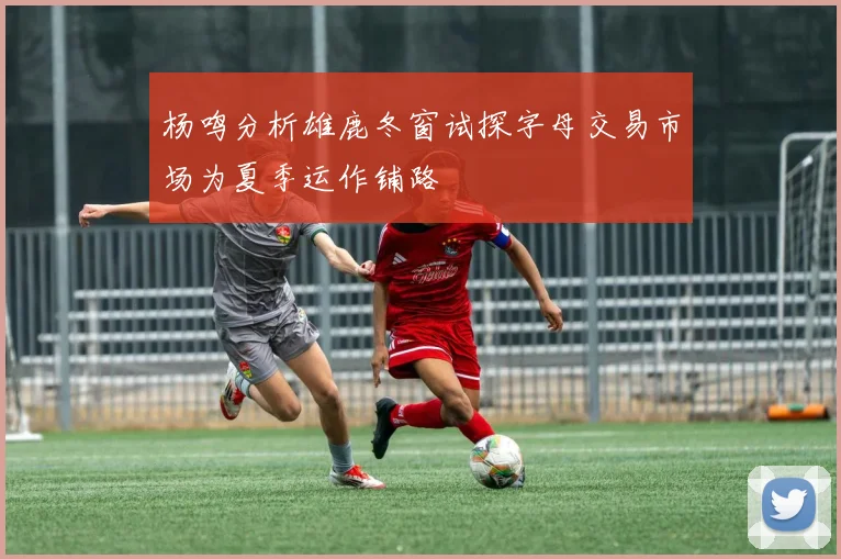杨鸣分析雄鹿冬窗试探字母交易市场为夏季运作铺路